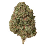 Gelato CBD Herbal Tea