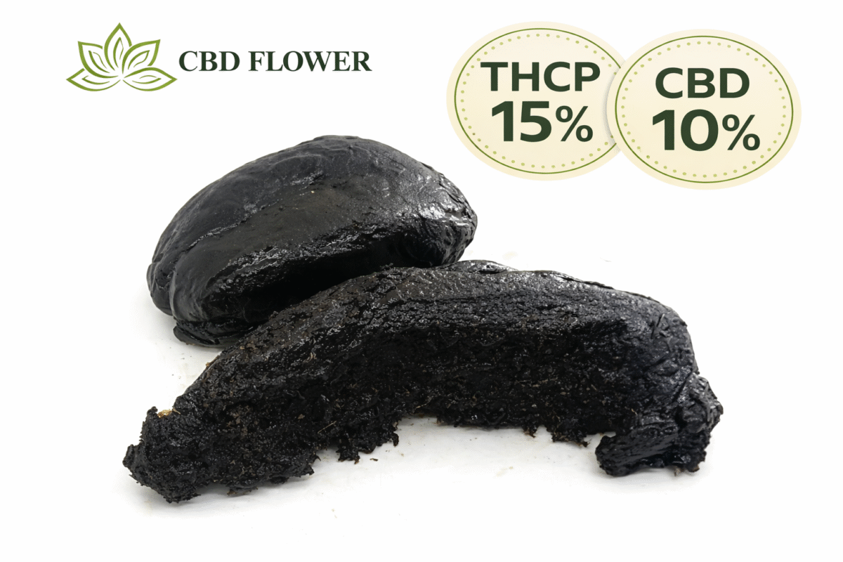 THCP Squidgy Black Hash