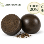 THCP Nepalese Temple