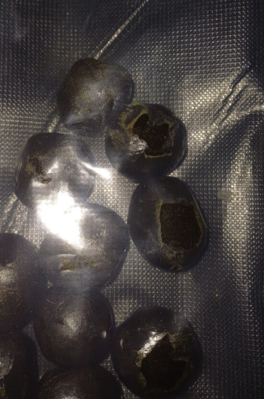 Image #1 from Thomas