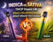 indica vs sativa thcp vape