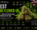 best cbd flower uk 2026 buyers guide premium hemp buds
