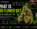 cbd flower uk