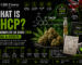 what is THCP UK guide 2026