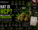 what is HHCP UK guide 2026